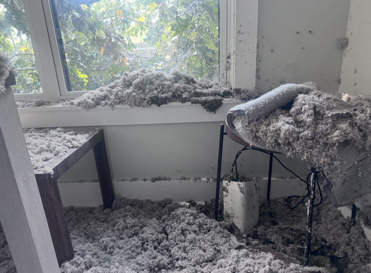 Loose insulation and debris scattered inside a room beside a window