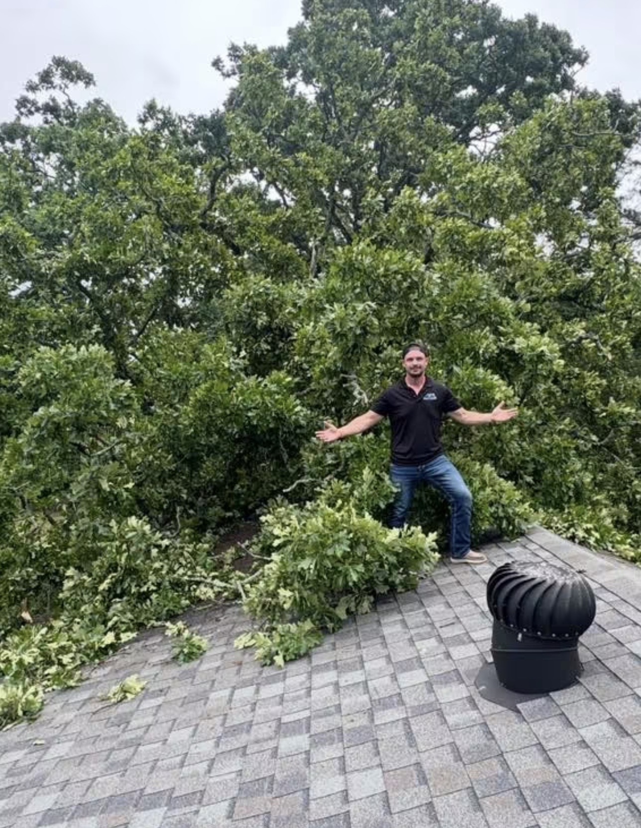 Legacy Homes team member beside a large oak fallen across a roof