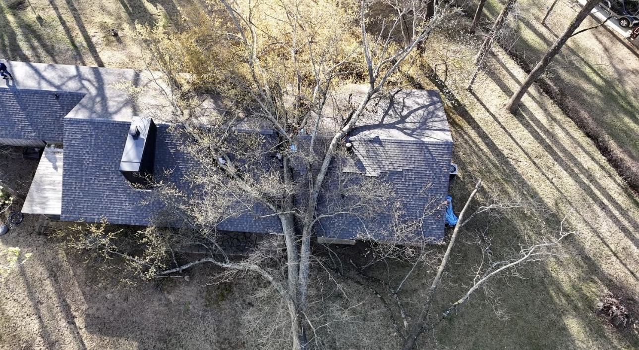 Aerial view of a large tree overhanging a shingle roof